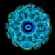Illustration for article titled These Images of Sound Waves in Water Are Hypnotic